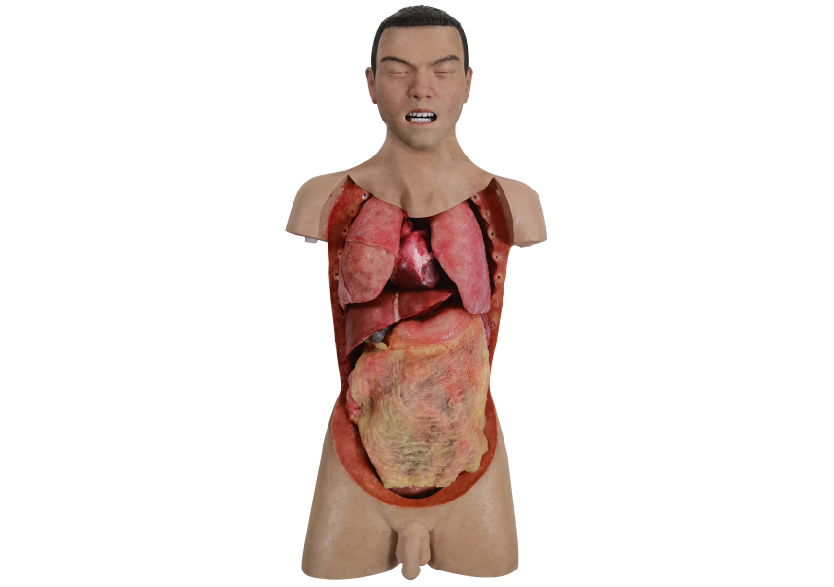 胸腹部損傷控制手術(shù)模擬人系統(tǒng)3.0